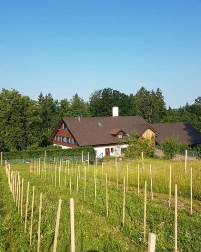 Weingut 2H